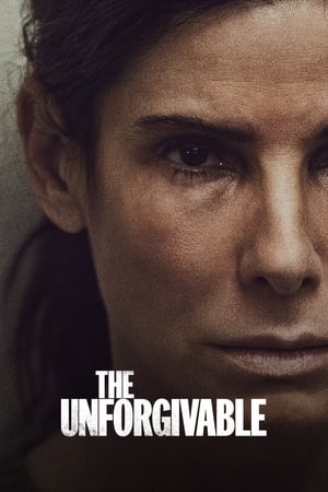 The Unforgivable (2021) Hindi Dual Audio HDRip 380MB