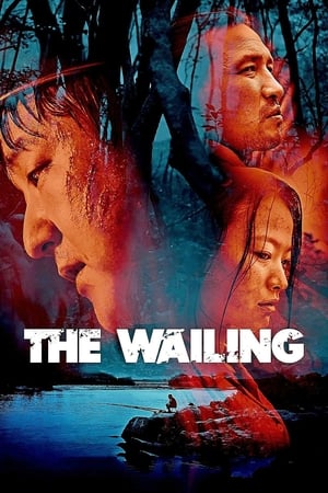 The Wailing 2016 Hindi Dual Audio Web-DL 450MB