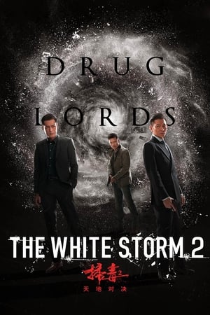 The White Storm 2: Drug Lords (2019) Hindi (Org) HDRip [950MB]