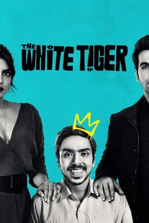 The White Tiger (2021) Hindi Movie HDRip – [370MB]