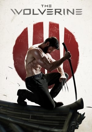 The Wolverine (2013) Hindi Dual Audio HDRip – 720p – 480p