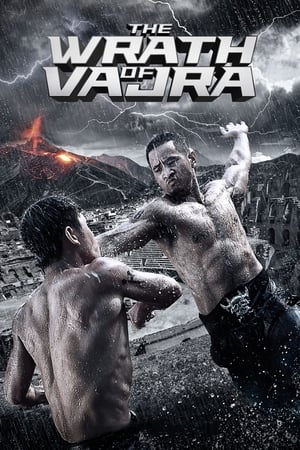 The Wrath of Vajra (2013) Hindi Dual Audio BluRay 350MB
