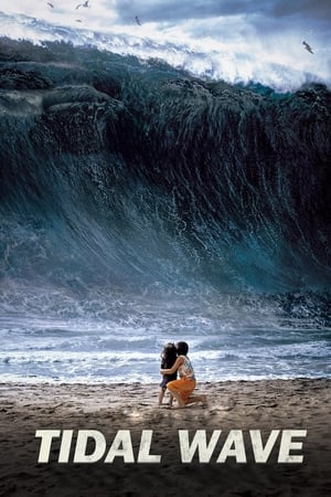 Tidal Wave (2009) Hindi Dual Audio BluRay 350MB ESubs