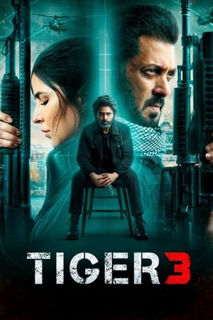 Tiger 3 2023 Hindi (ORG) Web-DL – 480p