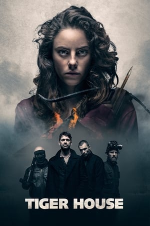 Tiger House (2015) Hindi Dual Audio BluRay 300MB