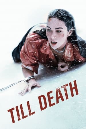 Till Death (2021) Hindi Dual Audio HDRip [750MB]