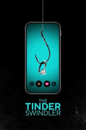 Tinder Swindler 2022 Hindi Dual Audio HDRip – 480p