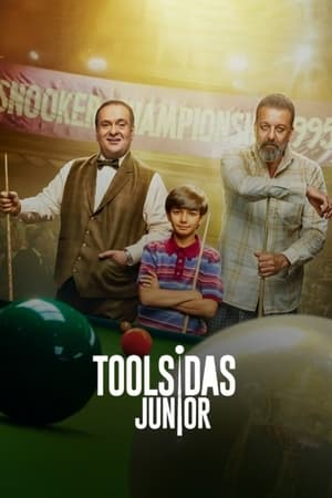Toolsidas Junior 2022 Hindi Movie HDRip – 480p