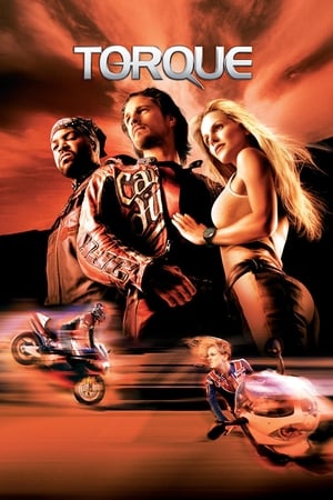 Torque 2004 Hindi Dual Audio BRRip [600MB] Download