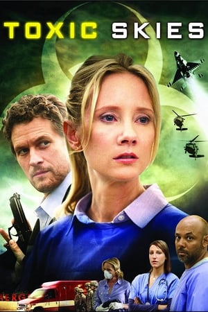 Toxic Skies 2008 Hindi Dual Audio BluRay 300MB