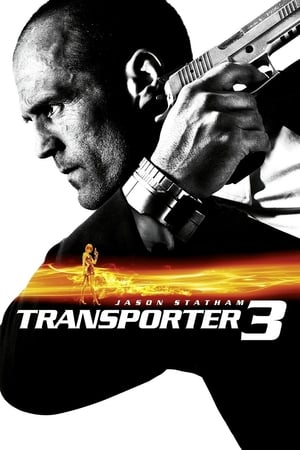 Transporter 3 (2008) Hindi Dual Audio BluRay [850MB]