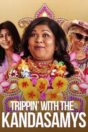 Trippin with the Kandasamys 2021 Hindi Dual Audio Web-DL [850MB]