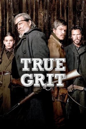 True Grit (2010) Hindi Dual Audio BluRay [950MB]