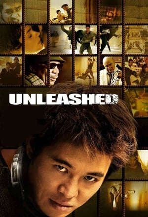 Unleashed (2005) Hindi Dual Audio BluRay 360MB
