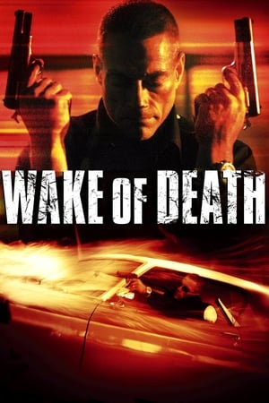 Wake of Death 2004 Hindi Dual Audio BluRay 300MB