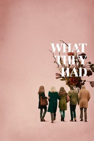 What They Had (2018) Hindi Dual Audio BluRay [900MB]