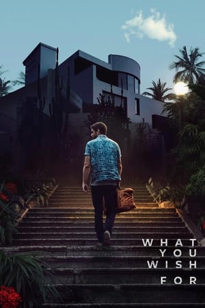 What You Wish For 2023 Dual Audio Hindi HDRip – 480p – 1080p