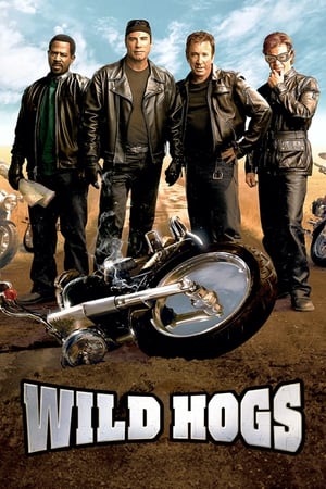 Wild Hogs (2007) Hindi Dual Audio BluRay 340MB