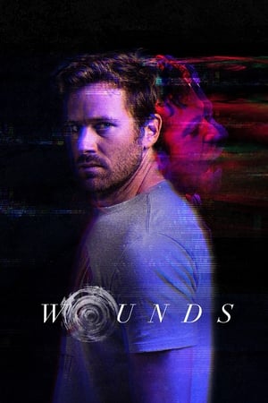 Wounds (2019) Hindi Dual Audio BluRay [930MB]