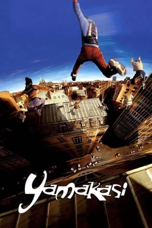 Yamakasi 2001 Hindi Dual Audio BluRay 300MB