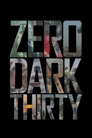 Zero Dark Thirty 2012 Hindi Dual Audio BluRay 450MB